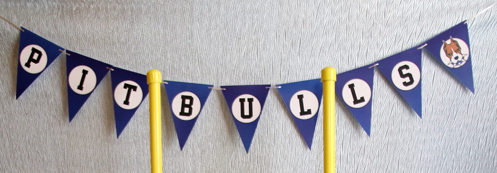 Night of Mystery | Super Bowl Party Ideas Night of Mystery | Super Bowl Party Ideas