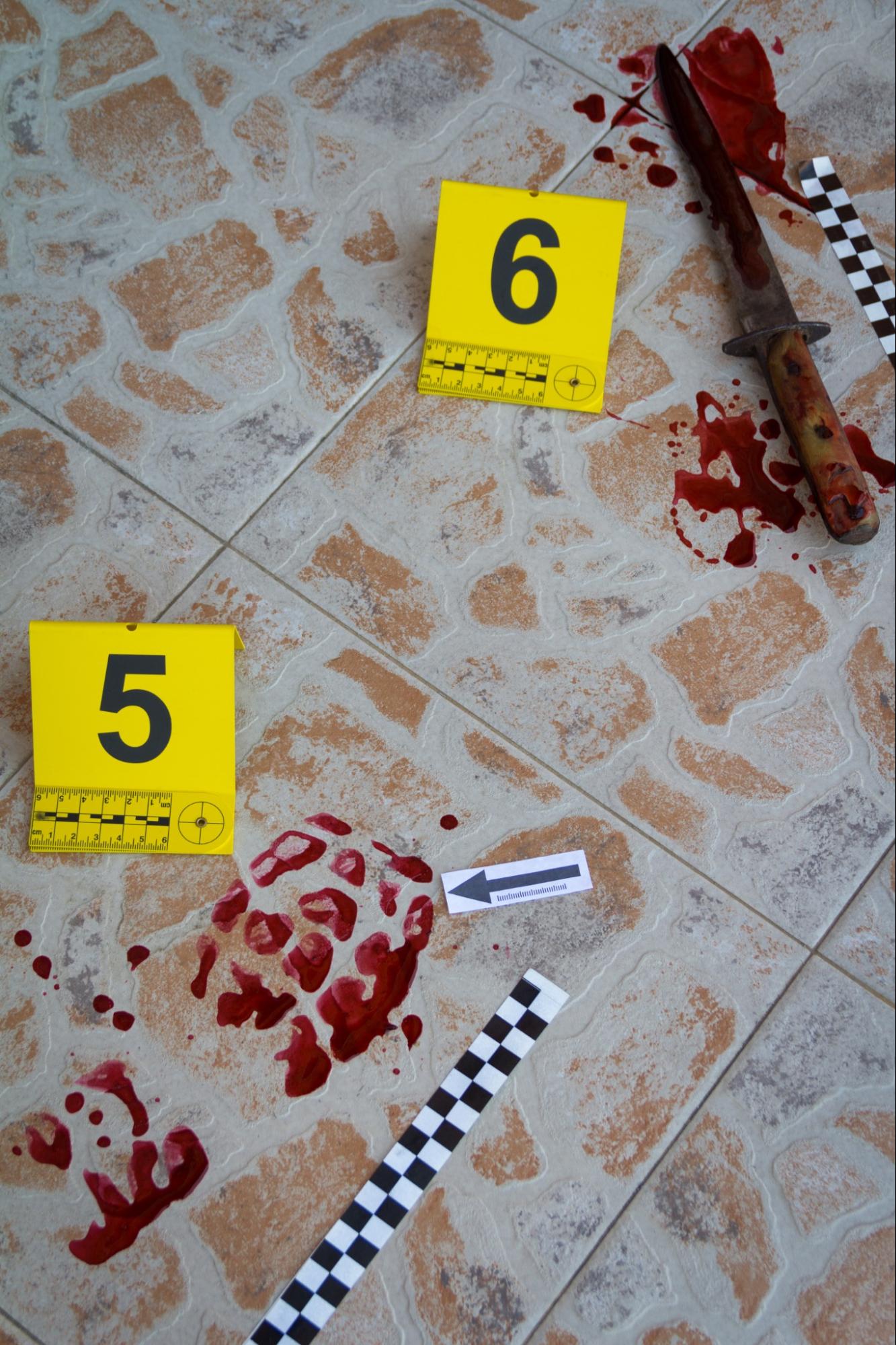 Mystery party decorations with caution tape and fake blood.